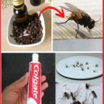 DIY Mattress Disinfectant Spray