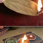 Just Stick a Bay Leaf in a Lemon! The Amazing Effects You’ll Experience